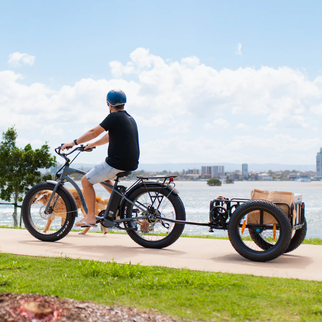 CHUBBIE 2 Electric Beach Cruiser Bike - Image 4