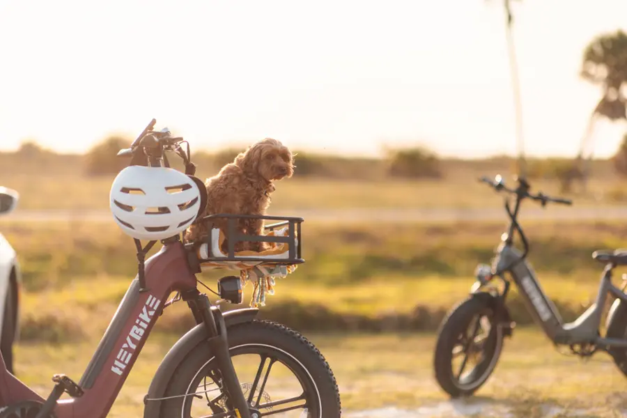 Heybike - RangerS Foldable Fat Tire Commuter Step Thru Ebike with 55mi Max Range 28mph Max Speed- Any Terrain- UL Certified - Red - Image 6