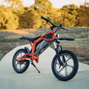 GoTrax - Fitz 16" Electric Dirt Bike w/15mi Max Range & 15.5 mph Max Speed - Red